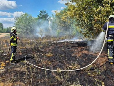 На Волині горів понад гектар сухої трави та чагарників