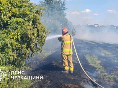 9 пожеж сухої рослинності ліквідували на Черкащині минулої доби