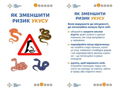 Що робити херсонцям, якщо вкусила отруйна змія