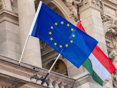 Угорські винищувачі супроводили безконтактний літак з Китаю