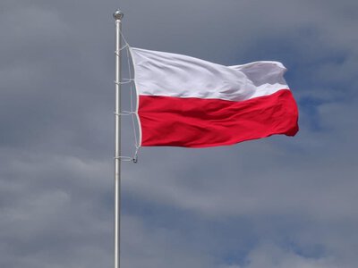Віцемаршал Сейму повідомляє про таємну передачу ракет Patriot Україні урядом