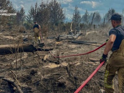 У Чорнобильській зоні загасили 130 га лісу, але пожежі ще тривають