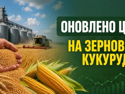 Ціни на зерно та кукурудзу: оновлення ринку