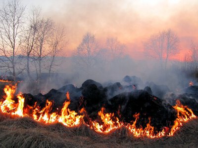 На Полтавщині загасили понад 300 пожеж з початку року