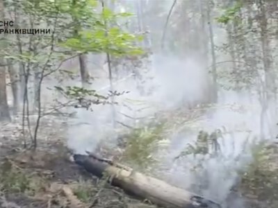 На Долинщині гасять масштабну лісову пожежу