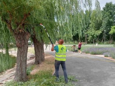 У Рівному тривають роботи з благоустрою та озеленення міста: де сьогодні працюють комунальники