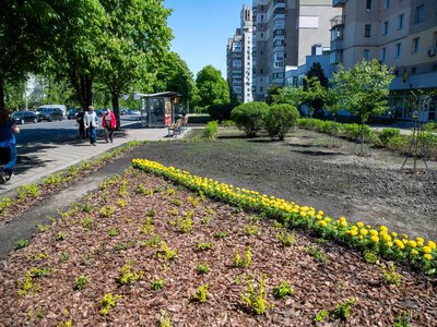 Насувається шквальний вітер — термінове попередження УкрГМЦ