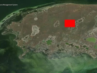 Чорноморський біосферний заповідник на Херсонщині охопили масштабні пожежі