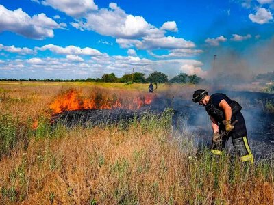 Через російські дрони на Херсонщині втратять до 80% урожаю