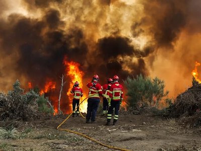 У Південній Європі через екстремальну спеку розгоряються лісові пожежі
