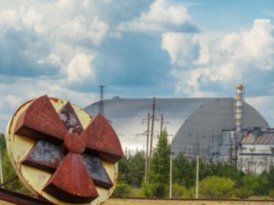 Майстер маскування у Чорнобилі – фотографам вдалося викрити невидимого птаха (фото) (Відео)