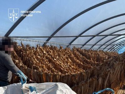 На Тернопільщині ліквідували підпільний тютюновий цех