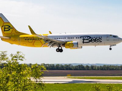 Після втрати літаків: українська авіакомпанія Bees Airline заявила про банкрутство