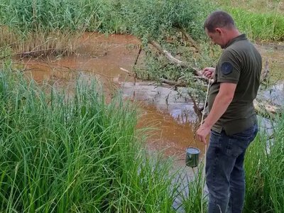 На Рівненщині екоінспекція розслідує замор риби у річці Замчисько