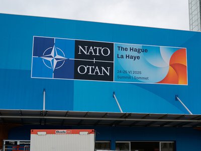 Романюк: Найважливіше для учасників саміту НАТО - щоб Альянс не розвалився