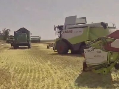 На Львівщині стартували жнива озимого ячменю
