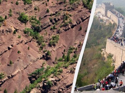 Чому штучні ліси в Китаї ростуть швидше за природні?