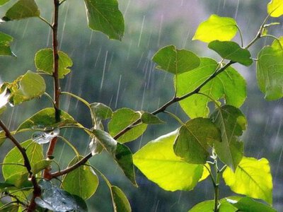 У вівторок в Україні прогріється до +29°, подекуди дощитиме