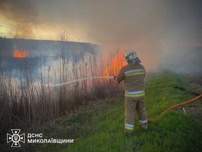 На Миколаївщині гасили 35 пожеж. Що горіло