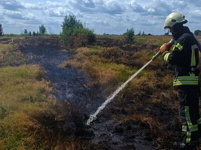 Поблизу Колодниці сталася пожежа сухостою, біля Тойкута досі гасять займання