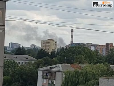 Дим видно з різних районів: у Житомирі сильна пожежа біля Ботанічного саду