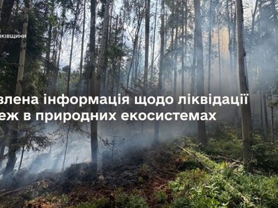 У Витвицькій, Букачівській та Рогатинській громадах рятувальники гасять пожежі на торфовищах та в лісі