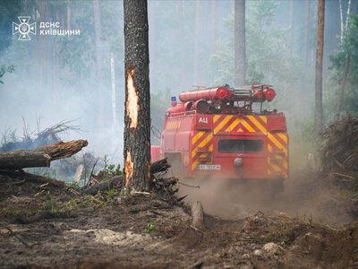 У Чорнобильській зоні продовжують гасити пожежу: що відомо
