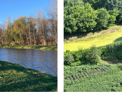  Колись чистий Остер, сьогодні – заросла водойма 