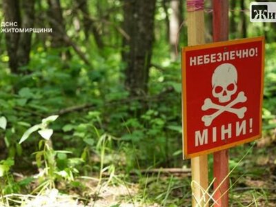 Сапери ДСНС перевіряють Малинську громаду після обстрілів. ФОТО