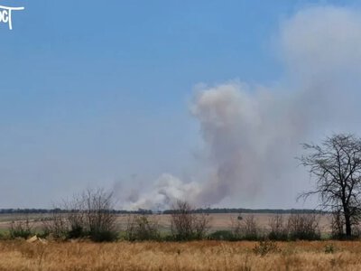 Науковці підтвердили поширення пожежі в Чорноморському біосферному заповіднику - Херсон Daily