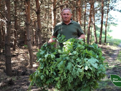 Дуб для оленів, кропива для зайців: у лісах Харківщини готують корми на зиму
