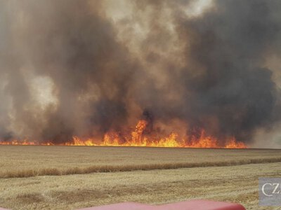У Чехії спалахнула велика пожежа на полі: оголосили третій ступінь тривоги