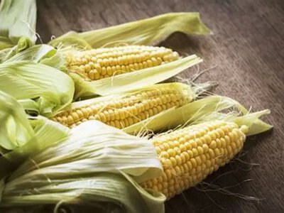 Каструля не знадобиться: як приготувати молоду кукурудзу за 5 хвилин