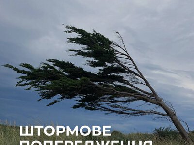 На Прикарпатті пронісся буревій. У двох громадах є знеструмлення