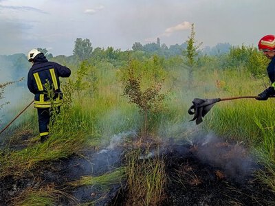 У Вінниці та трьох районах області сталися пожежі на відкритих територіях (ФОТО)