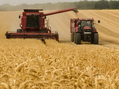 Клімат виходить з-під контролю? Аномальна спека вже переписує календар українських жнив