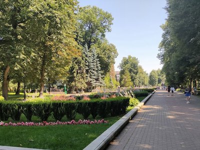 Чи відповідає Франківськ стандартам озеленення: у місті відбулось засідання