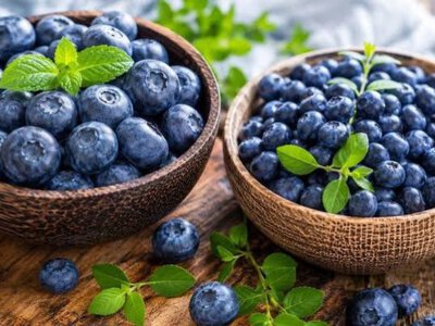 В Україні стартував сезон збору чорниці: скільки коштують ягоди?