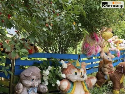 Іграшки під вікнами: житомиряни сперечаються через незвичну клумбу