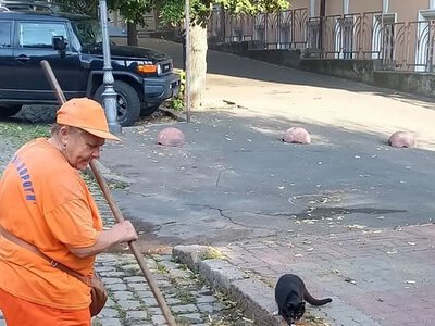 Де обходимо і об'їжджаємо: адреси ремонтних робіт на вулицях Одеси, запланованих на 8 липня