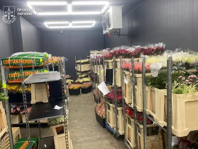 На Волині керівник фірми відшкодував 10,6 млн грн податків після викриття