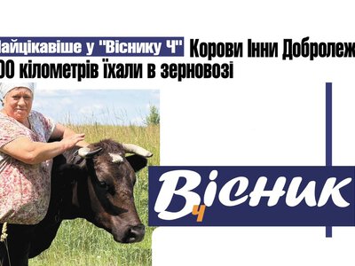 Переселенці з Покровська приїхали на Чернігівщину з коровами. Читайте у Віснику