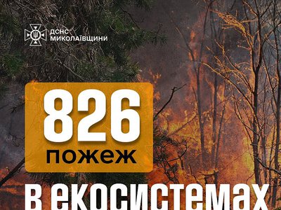 У Миколаївській області оголошено найвищий рівень пожежної небезпеки: з початку року сталося понад 800 пожеж в екосистемах