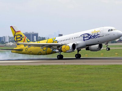 Після банкрутства Bees Airline все зміниться: які авіакомпанії ще літатимуть з України