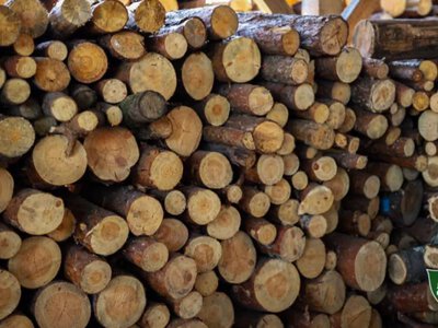 Рекордний попит навіть улітку: в Україні вдвічі зросли поставки дров
