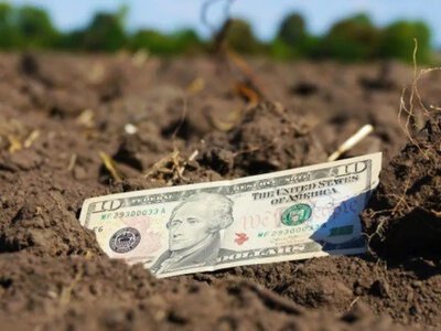 Чому ціни на землю в Україні не виправдали прогнозів