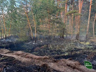 На Полтавщині через російський дрон загорівся ліс