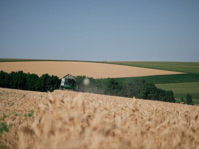 На Черкащині стартували жнива: очікують зібрати 3,8 млн тонн зерна