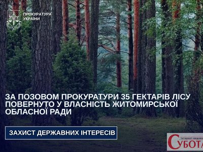 Приватне підприємство оформило лісові землі: суд на Житомирщині зобов’язав повернути понад 35 гектарів