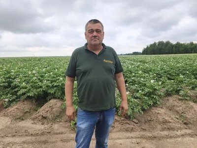 Картопля на Поліссі: як херсонські фермери здолали посуху